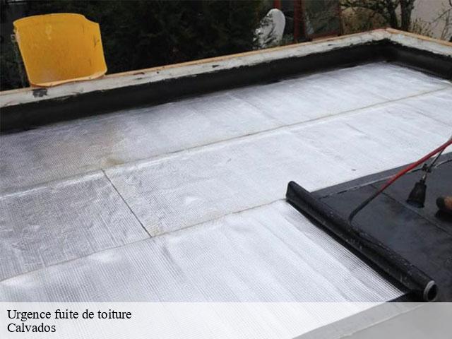 Urgence fuite de toiture Calvados 