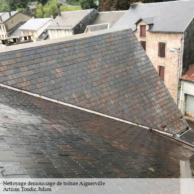 Nettoyage demoussage de toiture  aignerville-14710 Artisan Toudic Julien