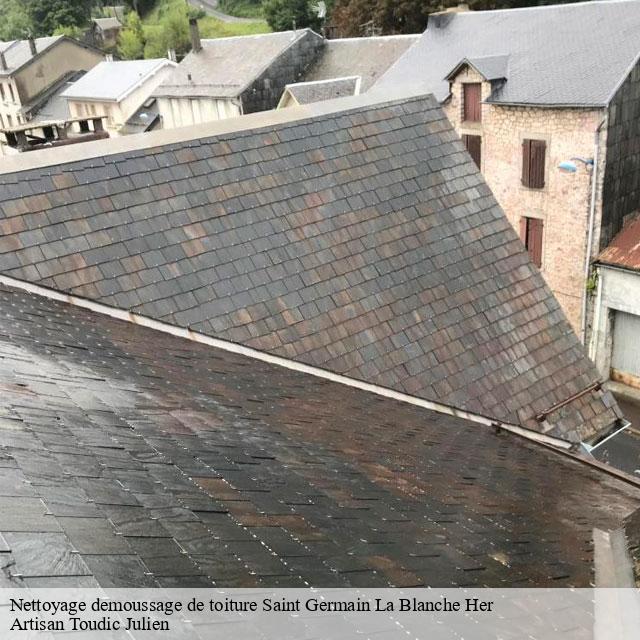 Nettoyage demoussage de toiture  saint-germain-la-blanche-her-14280 Artisan Toudic Julien