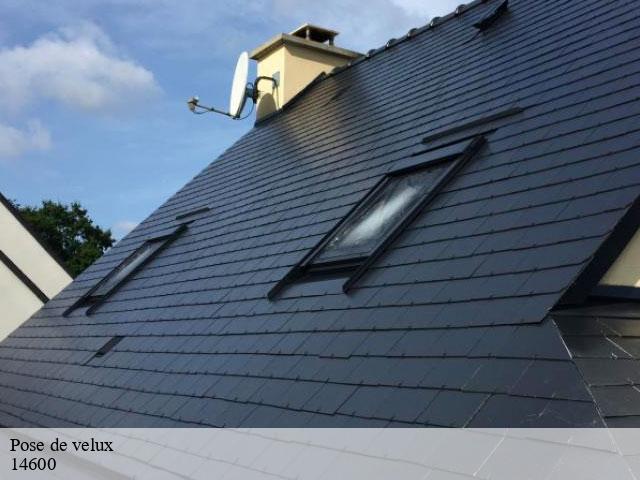 Pose de velux  14600